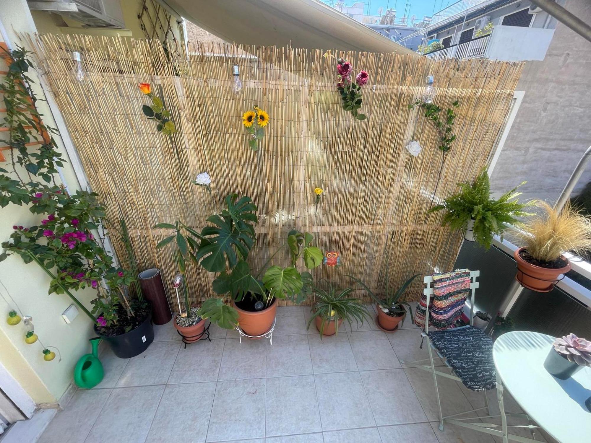 Sunny Studio Athens Ngoại thất bức ảnh